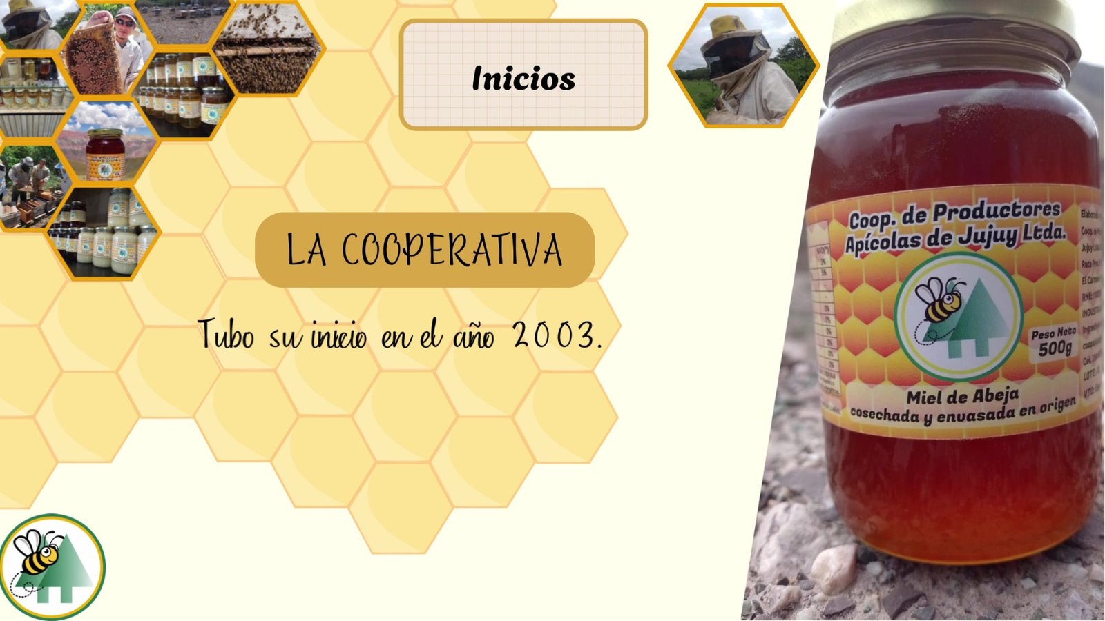 Apicultor cooperativo revisando marcos con abejas