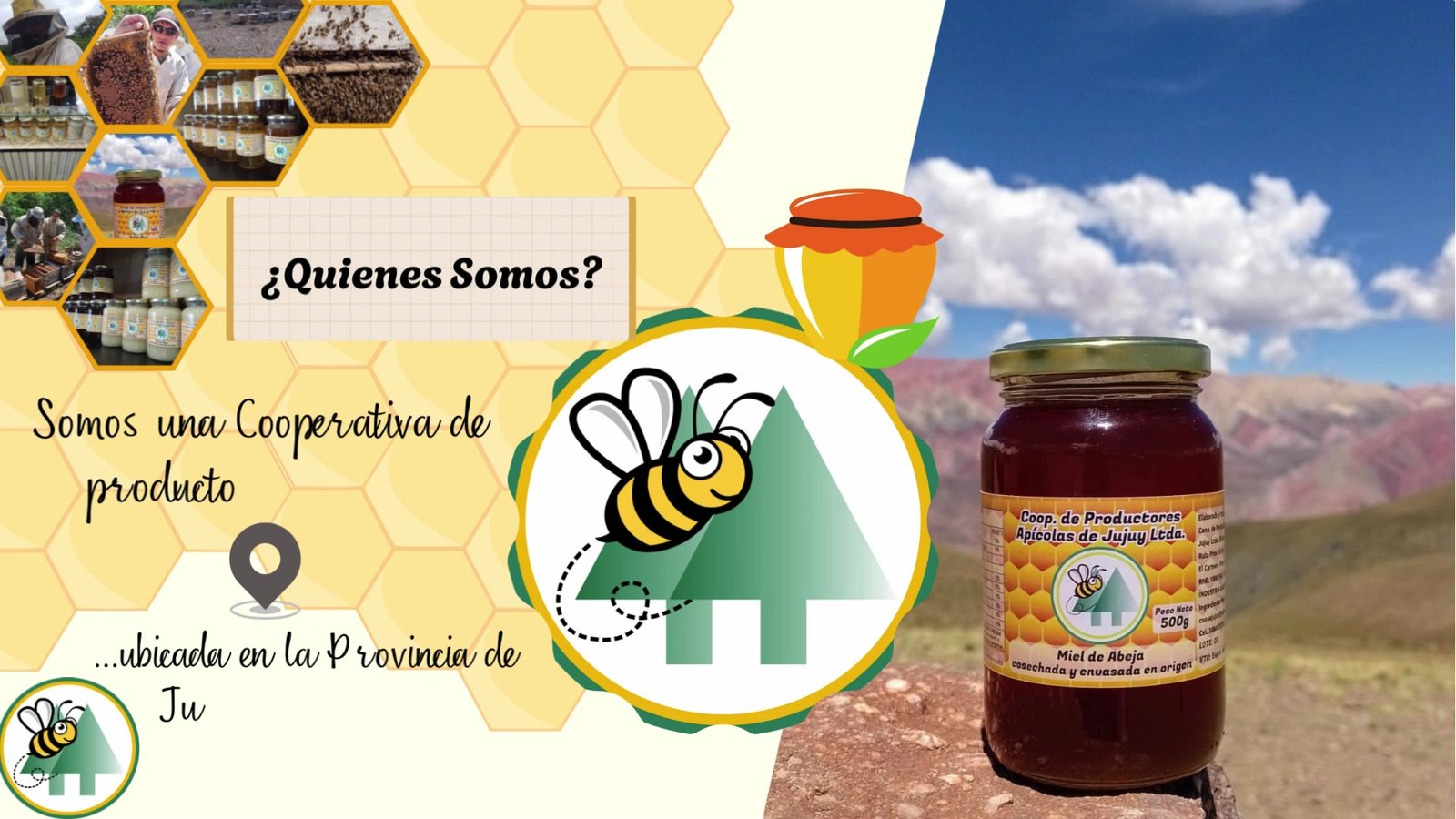 Apicultura Cooperativa en Jujuy